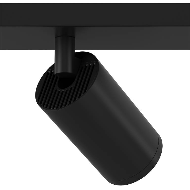 Потолочный светильник Technical Ceiling C051CL-2B