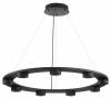 Подвесная люстра Odeon Light Turman 6631/75L фото 2