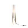 Торшер Freya Modern FR5543FL-01T