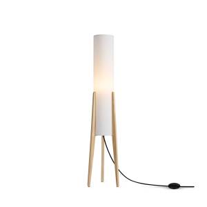 Торшер Freya Modern FR5543FL-01T