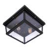 Потолочный светильник Loft IT Modern Filament Loft3110-2C фото 2
