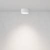 Потолочный светильник Technical Ceiling C001CL-GX53-W фото 4