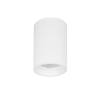 Потолочный светильник Lightstar Rullo IP65 214476IP65