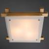 Потолочный светильник Arte Lamp 94 A6460PL-3BR фото 3