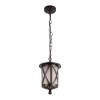 Уличный подвесной светильник Loft IT Ravenna 100016P фото 3