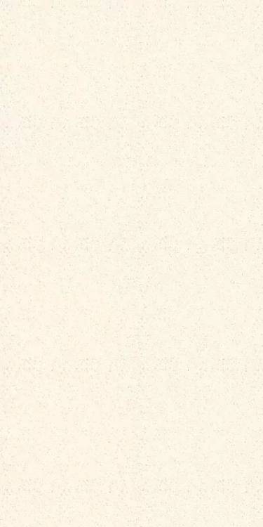 Керамогранит Belleza Galaxy White Glossy 60х120