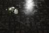 Ламинат Woodstyle Opera 12/33 4U 70338 Шанье Черный 1206x402 фото 2