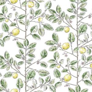 Обои York Collections Toiles Resource Library RT7911