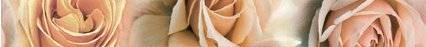 Бордюр MYR Ceramica Manhattan L-843 Beige Listelo 6x60