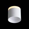 Потолочный светодиодный светильник ST Luce Panaggio ST102.502.09 фото 2