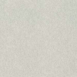 Обои Rasch Raymond 957310