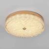 Потолочный светильник LED4U L1117-400 GD фото 4