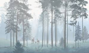 Фреска La Stanza Alba 800122 кварц (размер на заказ)