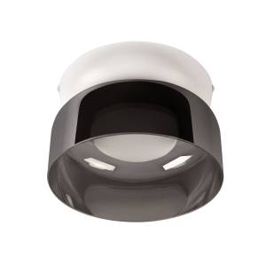 Потолочный светодиодный светильник Loft IT Totem 10466 Smoke