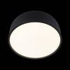 Потолочный светодиодный светильник Loft IT Axel 10201/350 Black фото 4
