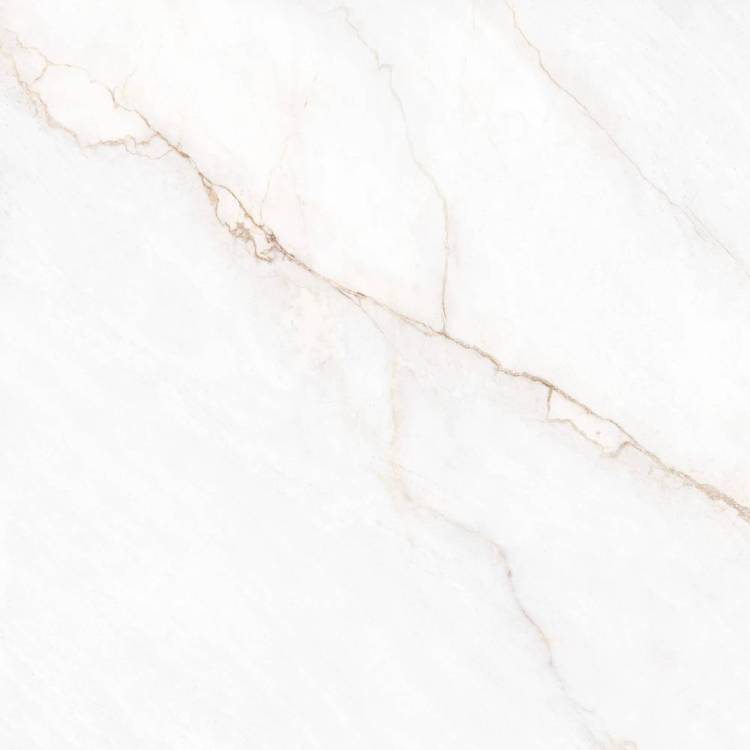 Керамогранит Museum Dahlia 41431 White SP/R 100x100