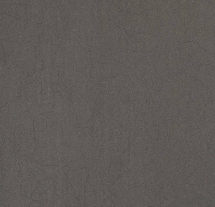 Обои флизелиновые Bernardo Bartalucci Legend 5068-9