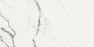 Керамогранит Fanal Pulido Nplus New Ice White 60x120