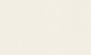 Обои Rasch Trend 975512