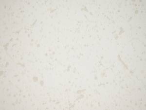 Обои Elysium Бренда Е805200