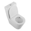 Унитаз-компакт BelBagno Flay-Tor BB2149CP-TOR/BB2149T/BB089SC безободковый, сиденье микролифт фото 2