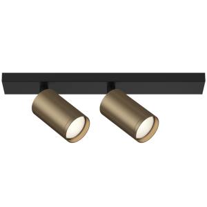 Потолочный светильник Technical Ceiling C051CL-02BBZ