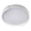Потолочный светодиодный светильник Loft IT Coin 10200 White фото 2