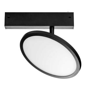 Светильник поворотный заливающего света Lightstar Teta 205707
