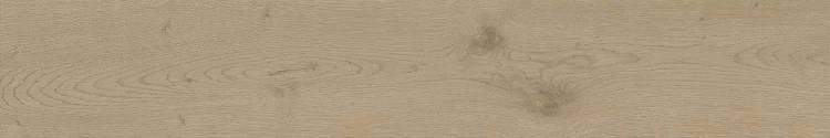 Керамогранит Atlas Concorde Entice A840 Ash Oak Natural 20x120