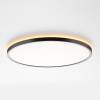 Светильник с пультом Citilux Norma CL749401 LED RGB фото 3