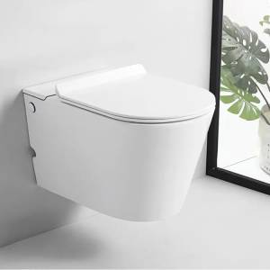 Унитаз подвесной Cerutti Spa Argentera CT10590 безободковый, сиденье микролифт, белый