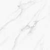 Керамогранит Staro Oasis Satuario Platina Polished 60x60