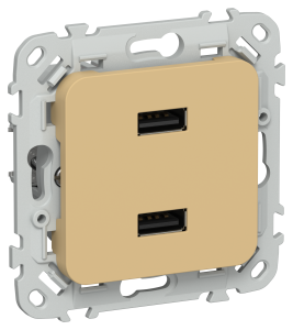 Розетка USB type A+A IEK Flite FI-U21-D31-K89 шамуа