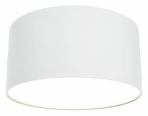 Потолочный светильник Technical Zon C032CL-12W3K-RD-W