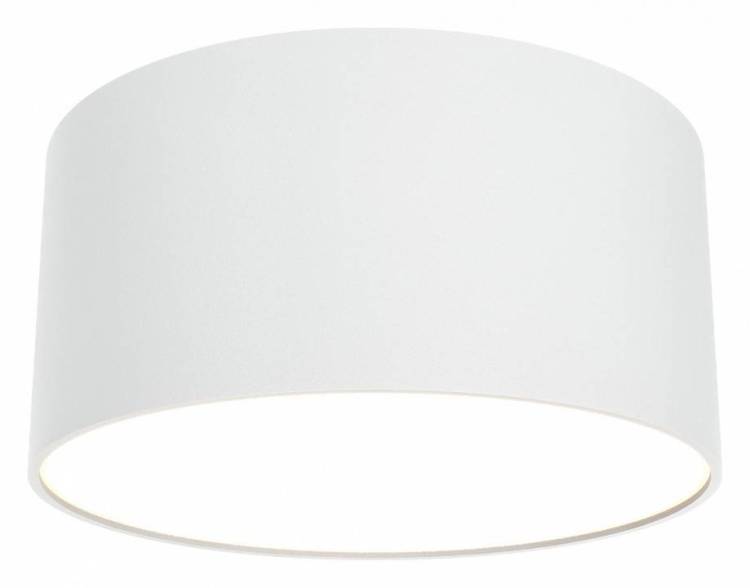 Потолочный светильник Technical Zon C032CL-12W3K-RD-W