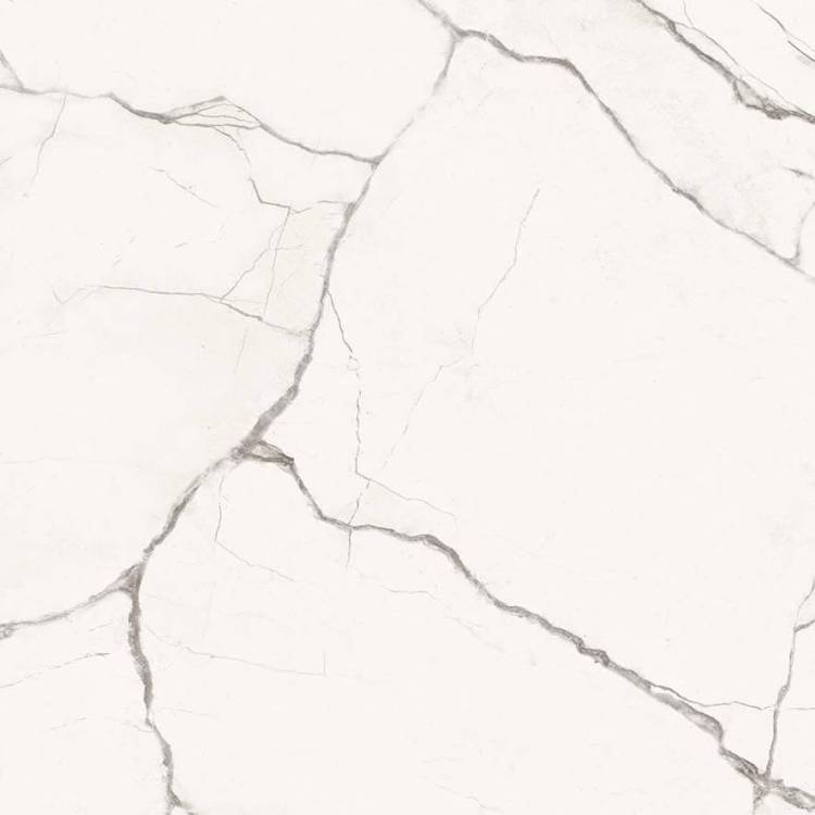 Керамогранит Imola Ceramica The Room Sta VP6 60LP 60x60