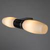 Подсветка для зеркал Arte Lamp Aqua A1209AP-2CC фото 2