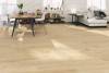 Керамогранит Emotion Ceramics Hardy Haya 23.3x120 фото 2