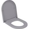 Унитаз подвесной Ambassador Abner 103T20301R-102T20301 серый матовый с сиденьем микролифт фото 7