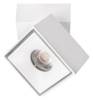 Спот Loft It Focus 10323/B White
