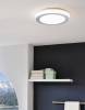Настенно-потолочный светильник Eglo Led Carpi 95283 фото 2