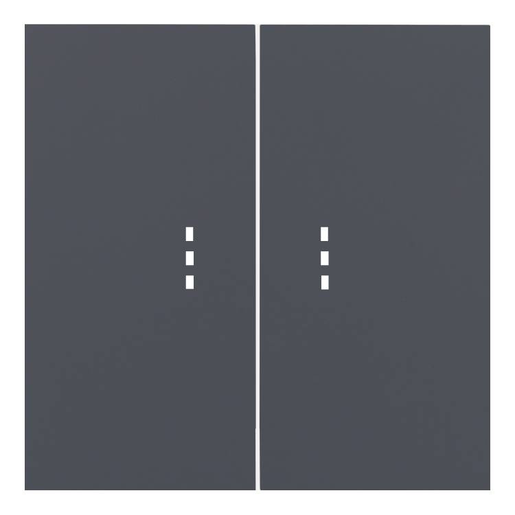 Клавиши двухклавишного выключателя с подсветкой Rikett 35612 BT базальт