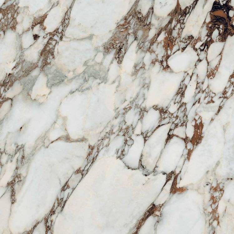Керамогранит Rex Ceramiche Les Bijoux De Rex 765762 Breche Capraia Glossy R 6mm 120x120