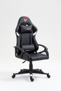 Кресло компьютерное Stool Group Topchairs Warden GF-8066-5 black+white черно-белый