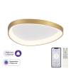Потолочная светодиодная люстра Citilux Genka Smart CL756A142
