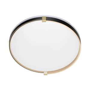 Настенно-потолочный светильник Sonex Olidi Black 7647/DL