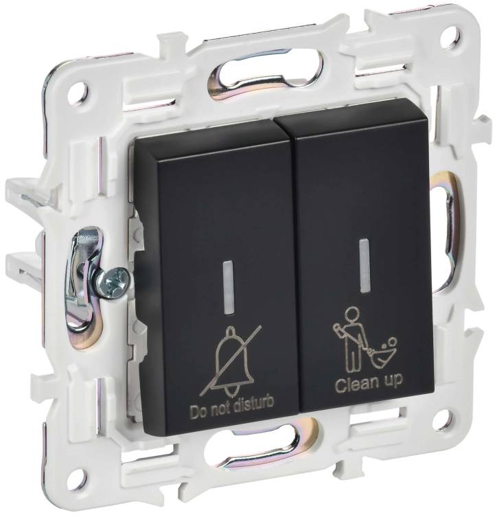 Выключатель 2-клавишный IEK Skandy SK-V20-2-10-K02 черный