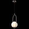 Подвесной светильник Loft IT Glob LOFT2595-B фото 6