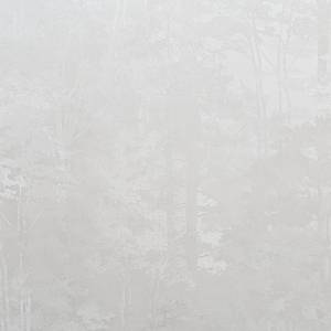 Обои Артекс Forest AR11218-01
