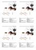Подвесной светодиодный светильник Vitaluce V2516DT-8/3S фото 2